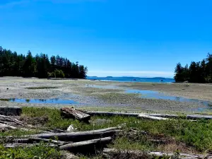 Buck Bay Shellfish Farm