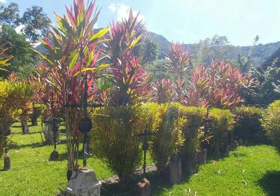 Cementerio de Los Colonos