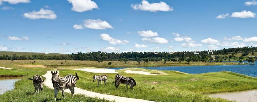 Bankenveld Golf Club