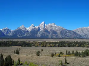 Elk Ranch Flats Turnout