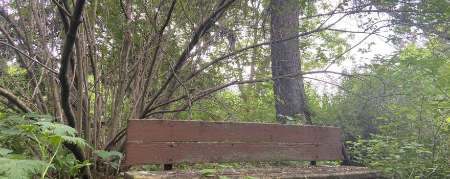 Frank Skinner Arboretum Trail