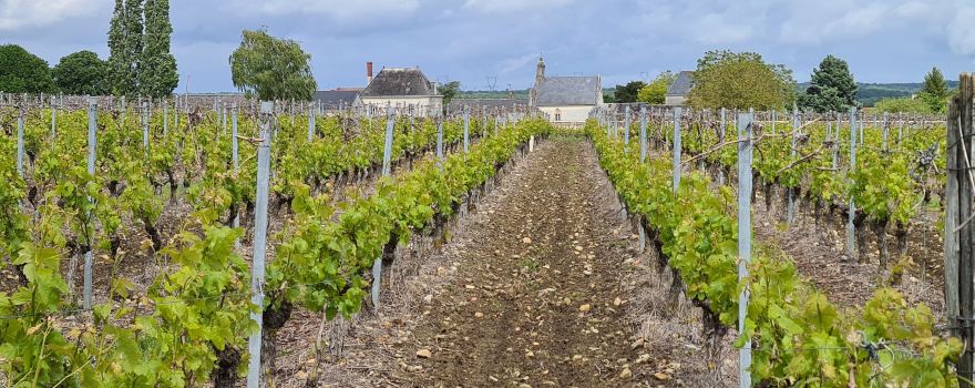 Domaine de Nerleux