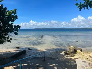Pacific Dive