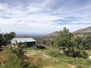 Nichols Ranch and Orchards