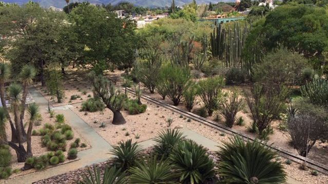 Ex-Convento de Santo Domingo