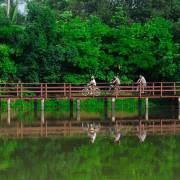 กีฬาทางน้ำ