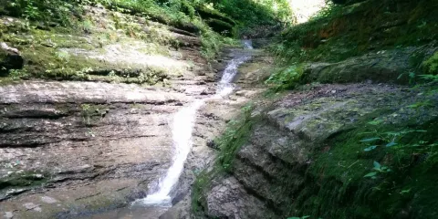 Lower Howard’s Creek Nature and Heritage Preserve