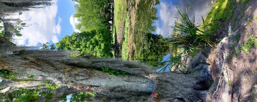 Lake Parker Park