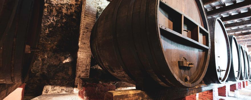 Fattoria Del Piccione