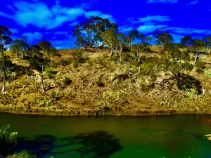 Bombala platypus reserve