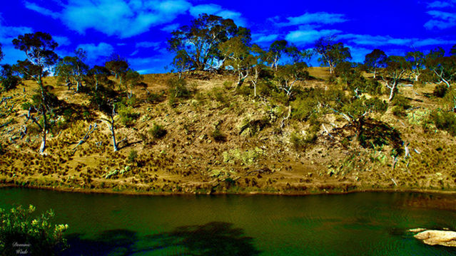 Bombala platypus reserve