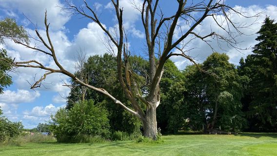 Alpine Golf Club