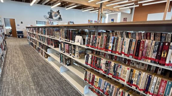Willow Public Library