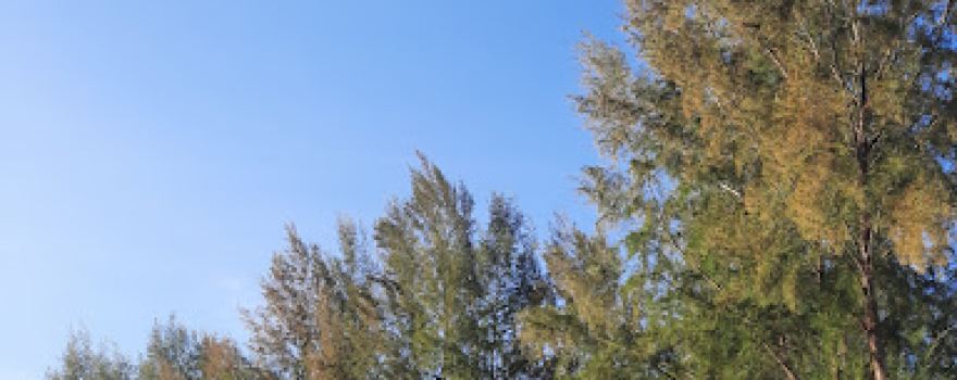 LAPANGAN PERSEGA