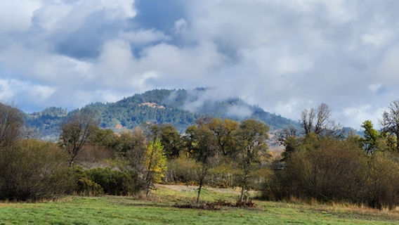 Frank Grasse Dog Park