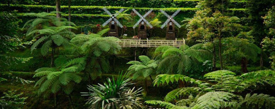 Wisata Perkebunan Teh Pagilaran Kaliboja Paninggaran