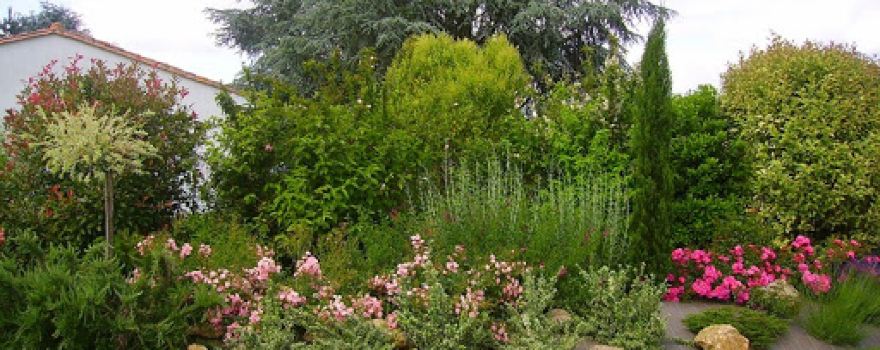 Jardinerie Cardon