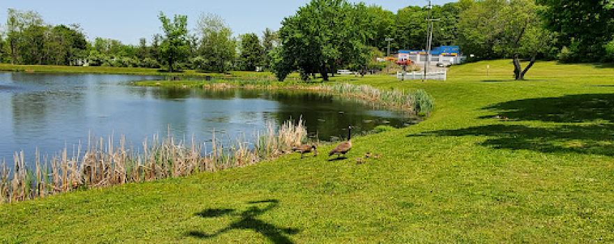 Butternut Hollow Park