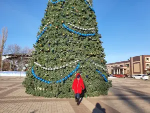 Tsentral'nyy Gorodskoy Skver