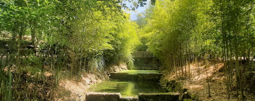 Parque de Merendas de Sobreira