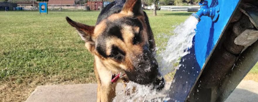 Officer Cash Memorial Dog Park