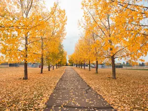 William F. Lede Park