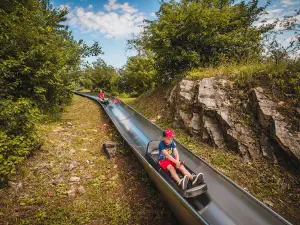 Summer bobsled