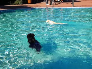 FreiBad Hof
