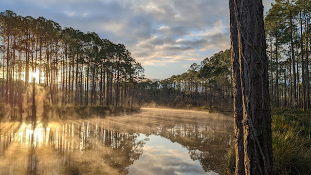 New River Primitive Campsite 8
