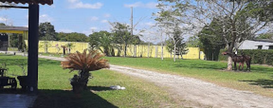 "Palapa los Agaves A&A"