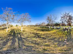 Atatürk Parkı