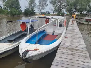 SHABANDAR FIREFLY, 반딧불, 萤火虫