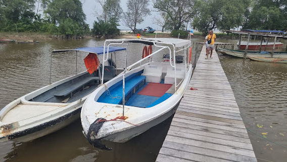 SHABANDAR FIREFLY, 반딧불, 萤火虫