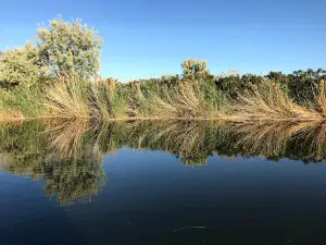 Umatilla National Wildlife Refuge