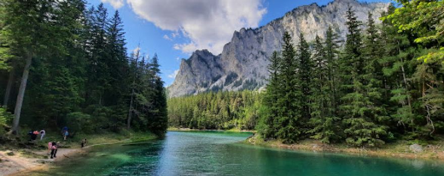 Grüner See