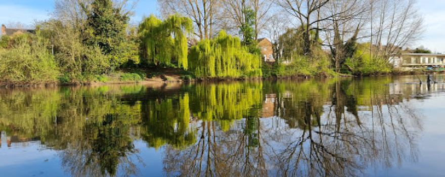 Stapenhill Woodland Walk & Riverside Walk