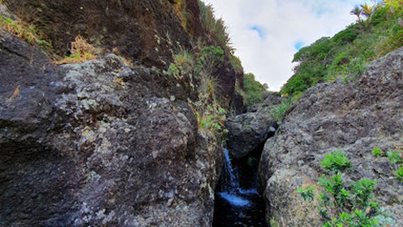 Piha