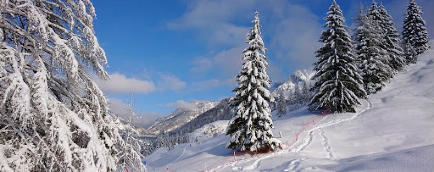 BMW IBU World Cup Biathlon Hochfilzen