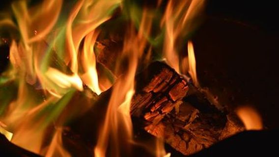 Camping Causapscal chez Moose