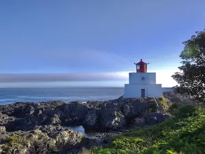 Ucluelet Lighthouse Loop