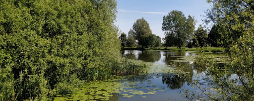 Bolton ponds fisheries