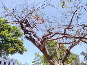 Parque de Independencia