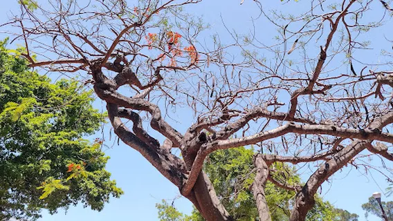 Parque de Independencia