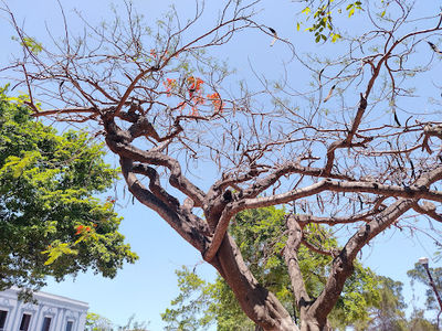 Parque de Independencia