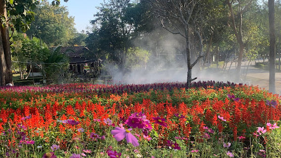 Pa Tueng Hot Springs