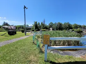 Oneonta Sports Park