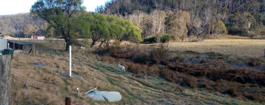 Fernbrook camping