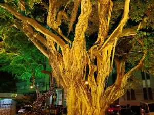 Praça Fausto Cardoso