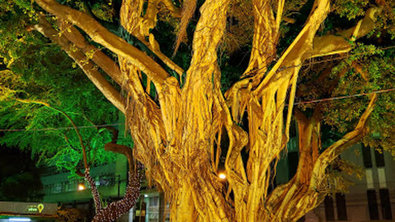 Praça Fausto Cardoso