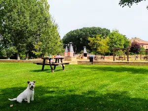 Merendero Morón De Almazán